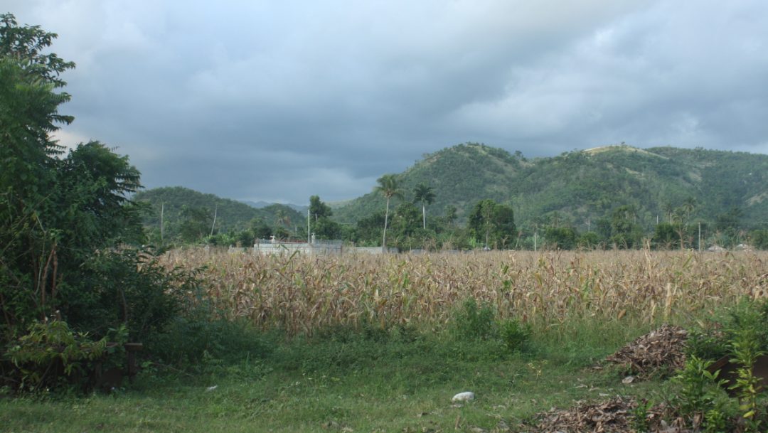 Helping shape Haiti’s Agricultural and Agroforestry Technological ...