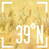 39n