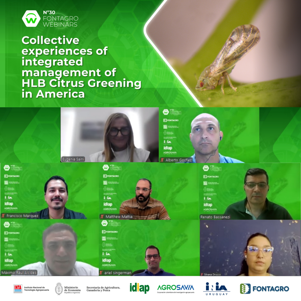 Webinar de FONTAGRO socializó experiencias colectivas de manejo integrado del HLB – Citrus Greening en América