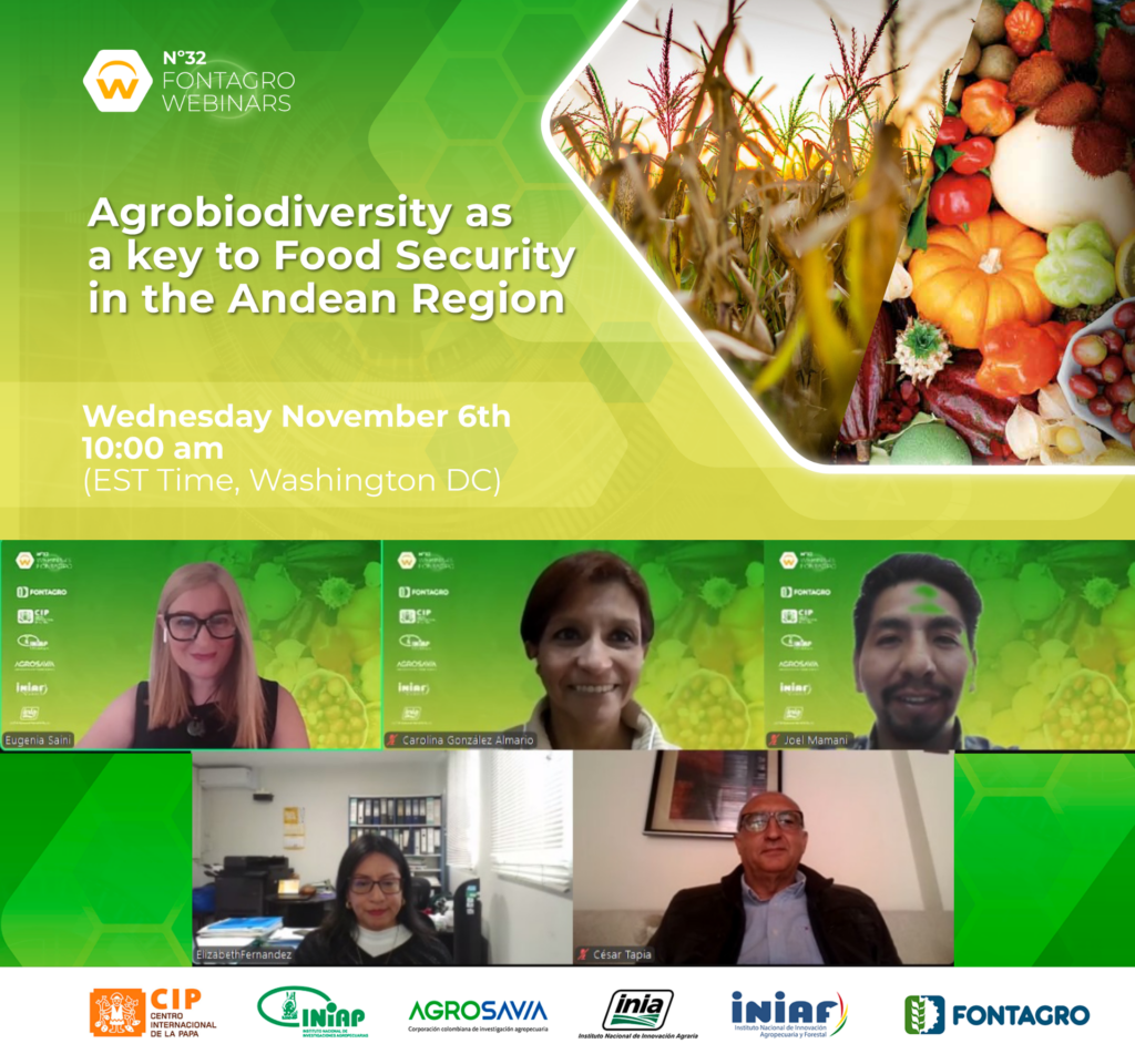 Webinar de FONTAGRO destaca la Agrobiodiversidad como factor clave para la Seguridad Alimentaria en la Región Andina