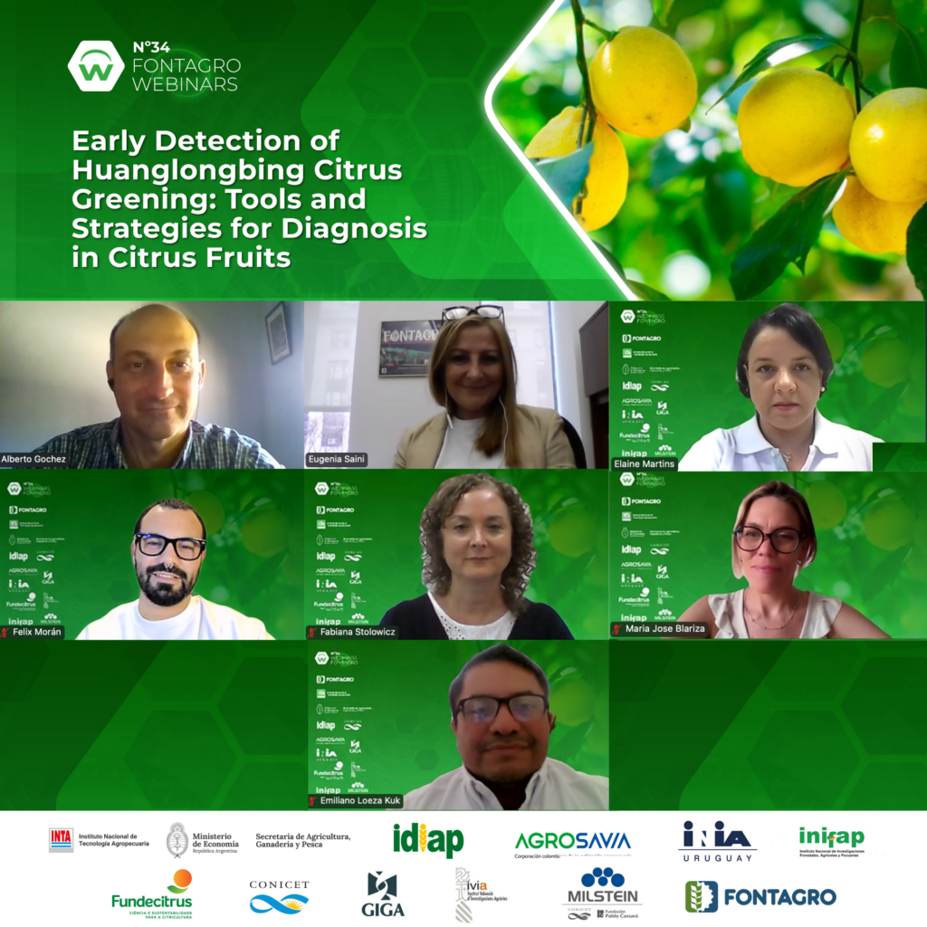 Webinar de FONTAGRO socializó innovadoras estrategias para la detección temprana del Huanglongbing en la Citricultura