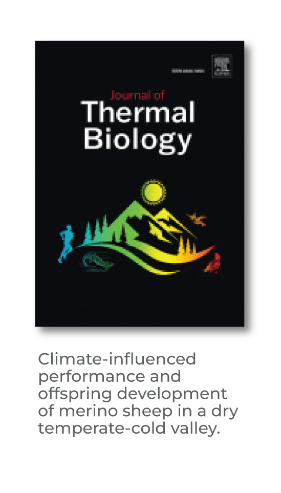 Climate-influenced performance and offspring development of merino sheep in a dry temperate-cold valley