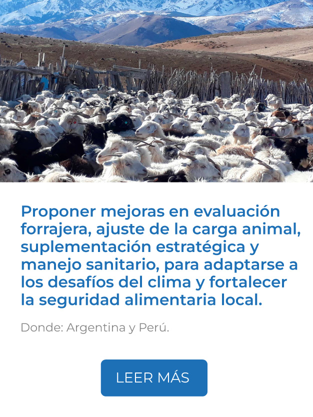 Este proyecto propone mejoras en evaluación forrajera, ajuste de la carga animal, suplementación estratégica y manejo sanitario, para adaptarse a los desafíos del clima y fortalecer la seguridad alimentaria local Fontagro