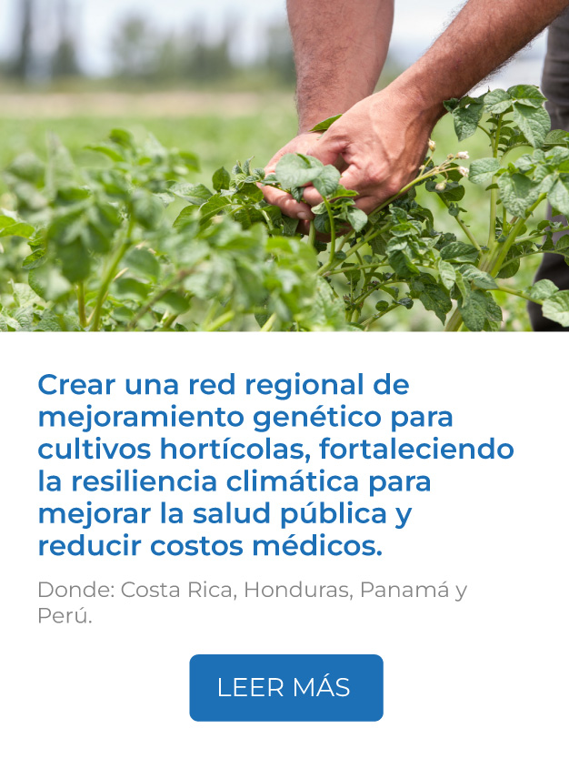 Este proyecto crea una red regional de mejoramiento genético para cultivos hortícolas, fortaleciendo la resiliencia climática y promoviendo la colaboración tecnológica para mejorar la salud pública y reducir costos médicos.<br />
Donde: Costa Rica, Honduras, Panamá y Perú.<br />
