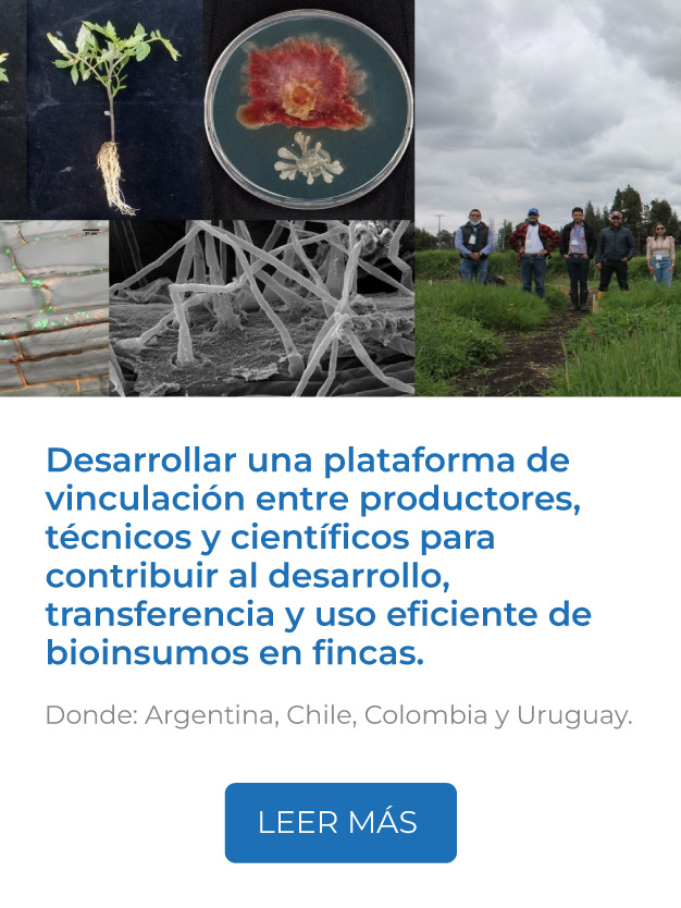 Este proyecto busca desarrollar una plataforma de vinculación entre productores, técnicos y científicos para contribuir al desarrollo, transferencia y uso eficiente de bioinsumos en fincas.<br />
Donde: Argentina, Chile, Colombia y Uruguay.<br />
