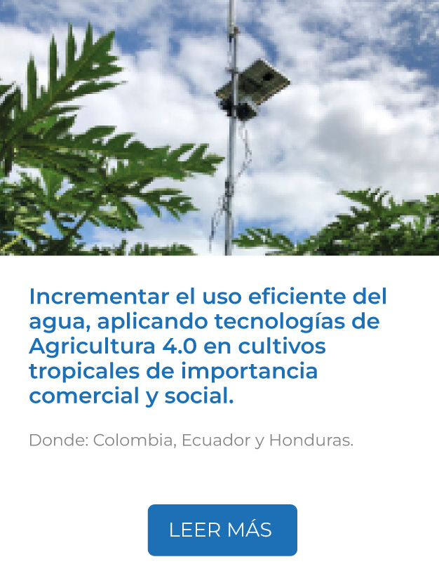 Este proyecto busca incrementar el uso eficiente del agua, aplicando tecnologías de Agricultura 4.0 en cultivos tropicales de importancia comercial y social.<br />
Donde: Colombia, Ecuador y Honduras.<br />
