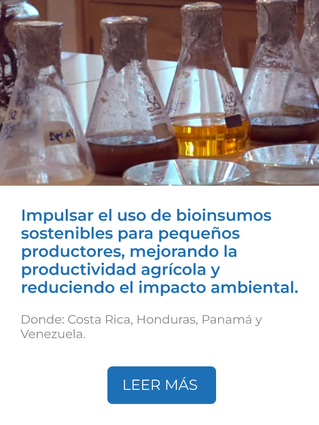 Este proyecto impulsa el uso de bioinsumos sostenibles para pequeños productores, mejorando la productividad agrícola, reduciendo el impacto ambiental y fortaleciendo la resiliencia climática.<br />
Donde: Costa Rica, Honduras, Panamá y Venezuela.<br />
