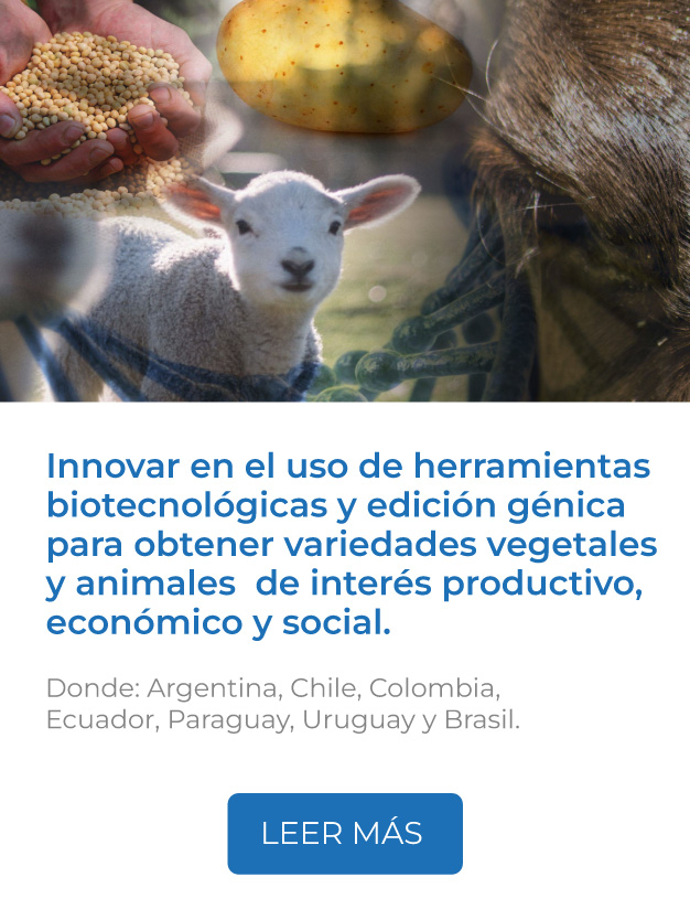 Este proyecto innova en el uso de herramientas biotecnológicas y edición génica para obtener variedades vegetales y animales con características de interés productivo, económico y social.