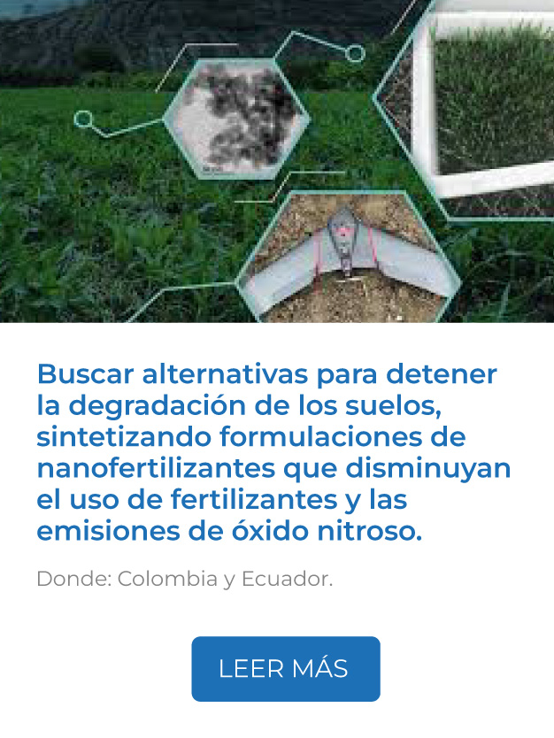 Este proyecto busca alternativas para detener la degradación de los suelos, sintetizando formulaciones de nanofertilizantes que disminuyan el uso de fertilizantes y las emisiones de óxido nitroso.