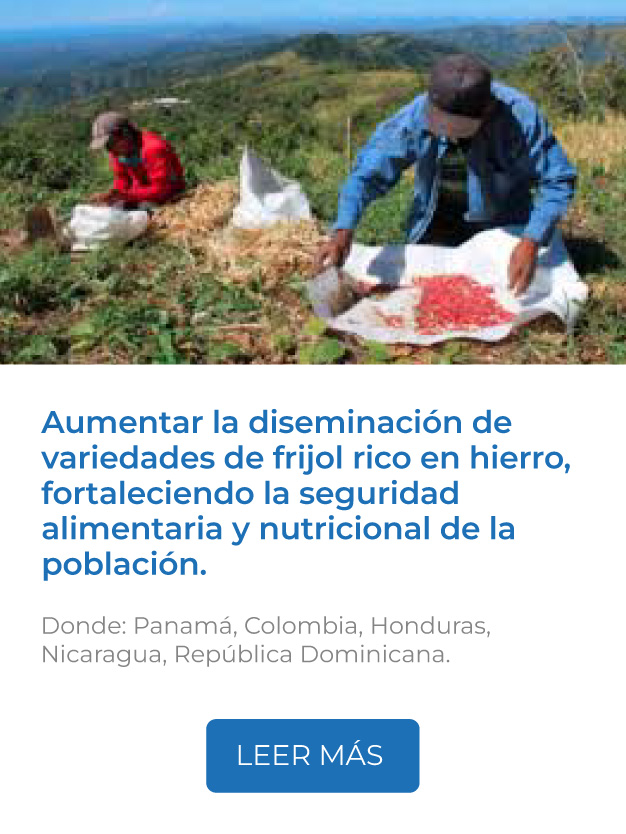 Este proyecto aumenta la diseminación de variedades de frijol rico en hierro, fortaleciendo la seguridad alimentaria y nutricional de la población.