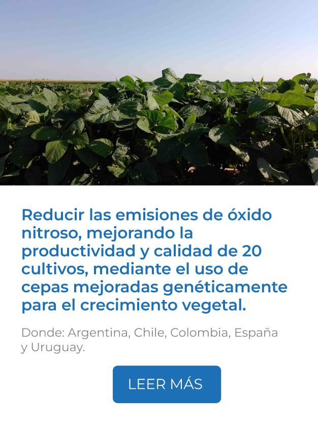 Este proyecto reduce las emisiones de óxido nitroso, mejorando la productividad y calidad de 20 cultivos, mediante el uso de cepas mejoradas genéticamente con mayor eficiencia en la actividad promotora del crecimiento vegetal.