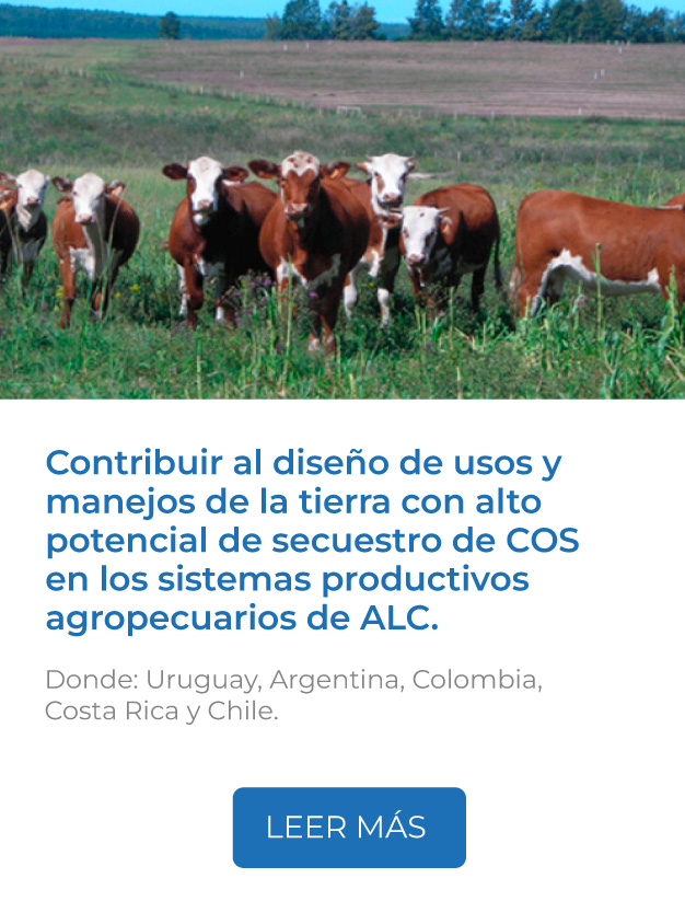 Este proyecto contribuye al diseño de usos y manejos de la tierra con alto potencial de secuestro de COS en los sistemas productivos agropecuarios de ALC.