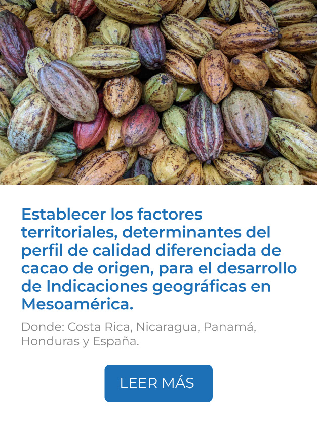 Este proyecto busca establecer los factores territoriales, determinantes del perfil de calidad diferenciada de cacao de origen, para el desarrollo de Indicaciones geográficas en Mesoamérica.