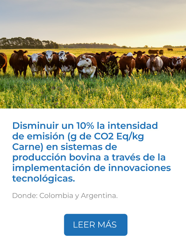 Este proyecto busca disminuir un 10% la intensidad de emisión (g de CO2 Eq/kg Carne) en sistemas de producción bovina a través de la implementación de innovaciones tecnológicas.