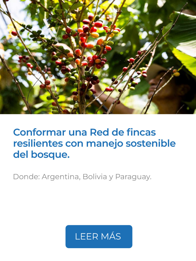 Este proyecto conformará una Red de fincas resilientes con manejo sostenible del bosque.