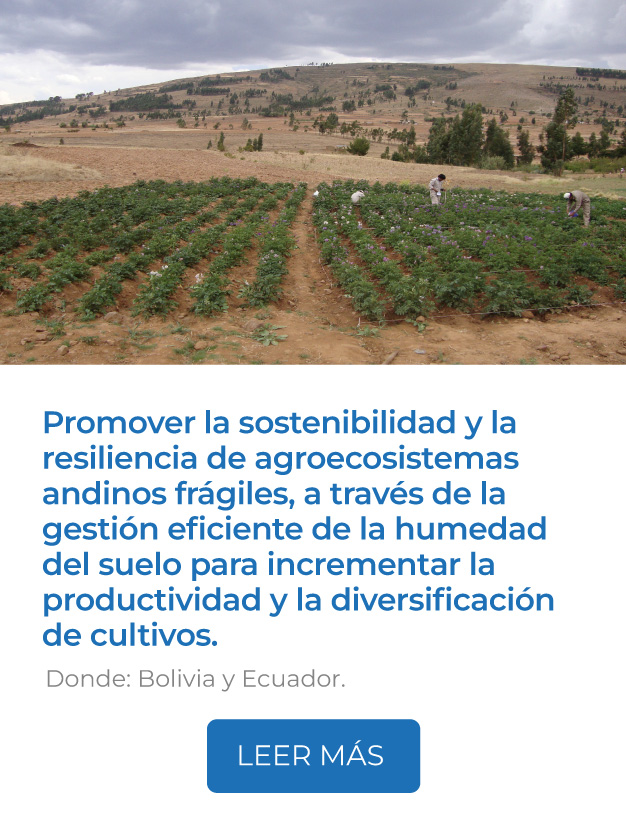 Este proyecto busca promover la sostenibilidad y la resiliencia de agroecosistemas andinos frágiles, a través de la gestión eficiente de la humedad del suelo para incrementar la productividad y la diversificación de cultivos.