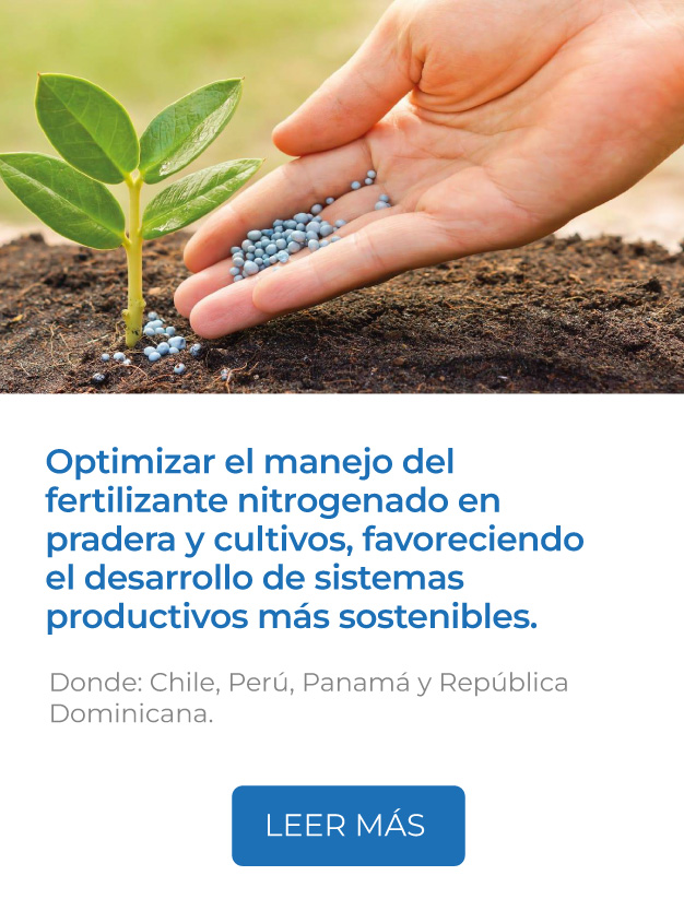 Este proyecto busca optimizar el manejo del fertilizante nitrogenado en pradera y cultivos, favoreciendo el desarrollo de sistemas productivos más sostenibles.