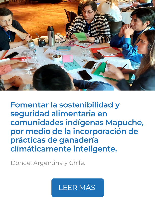 Este proyecto busca fomentar la sostenibilidad y seguridad alimentaria en comunidades indígenas Mapuche, por medio de la incorporación de prácticas de ganadería climáticamente inteligente