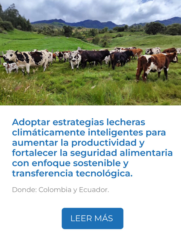 Este proyecto adopta estrategias lecheras climáticamente inteligentes para aumentar la productividad y fortalecer la seguridad alimentaria con enfoque sostenible y transferencia tecnológica.