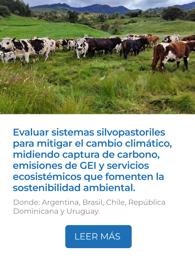 Este proyecto busca optimizar el manejo del fertilizante nitrogenado en pradera y cultivos, favoreciendo el desarrollo de sistemas productivos más sostenibles.