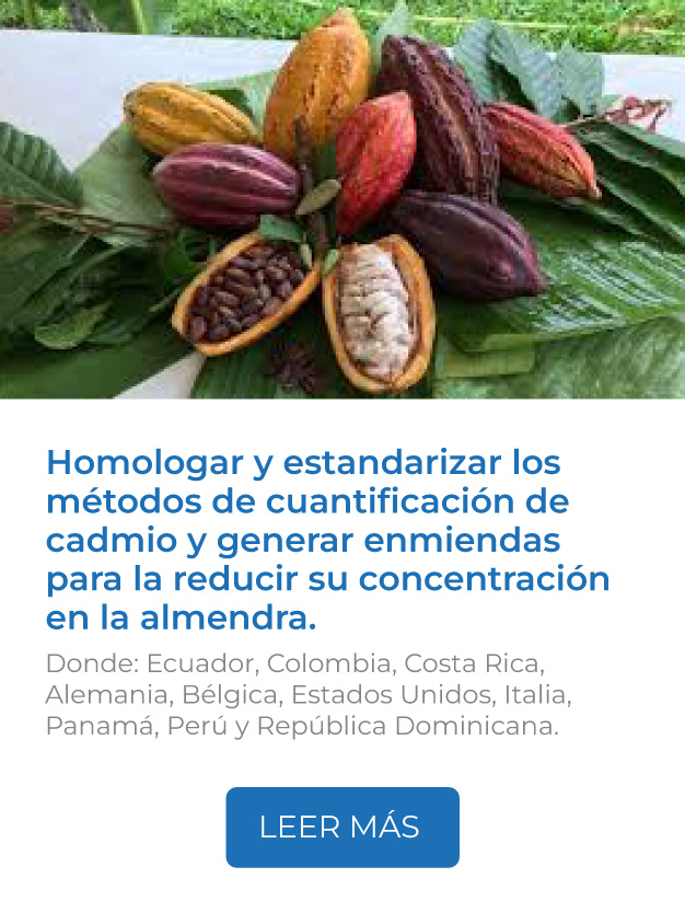 Este proyecto busca homologar y estandarizar los métodos de cuantificación de cadmio y generar enmiendas para la reducir su concentración en la almendra.