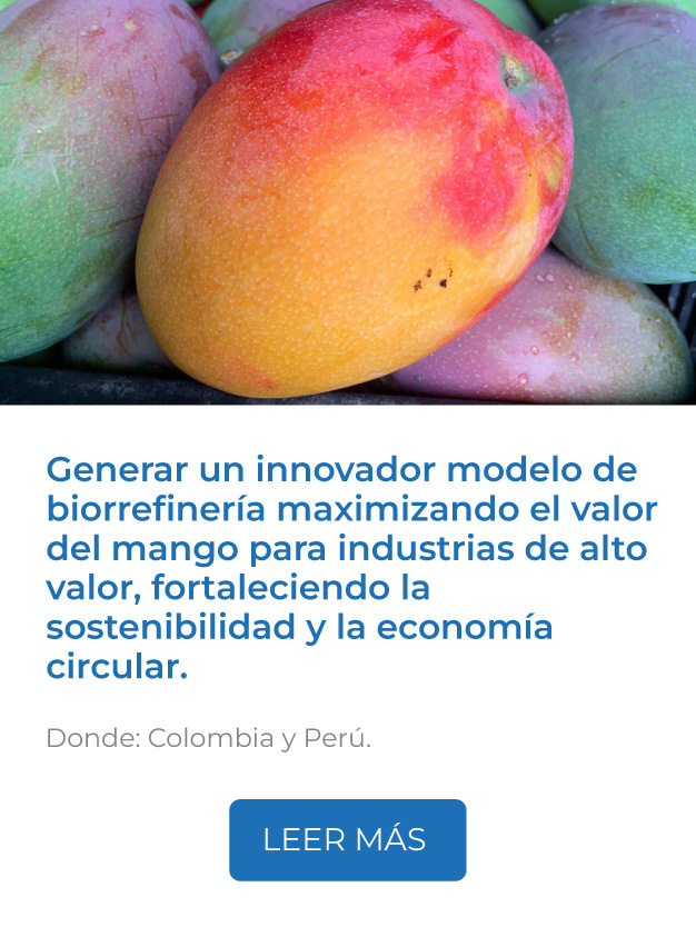 Este proyecto busca generar un innovador modelo de biorrefinería maximizando el valor del mango y aprovechando sus residuos para industrias de alto valor, fortaleciendo la sostenibilidad y la economía circular