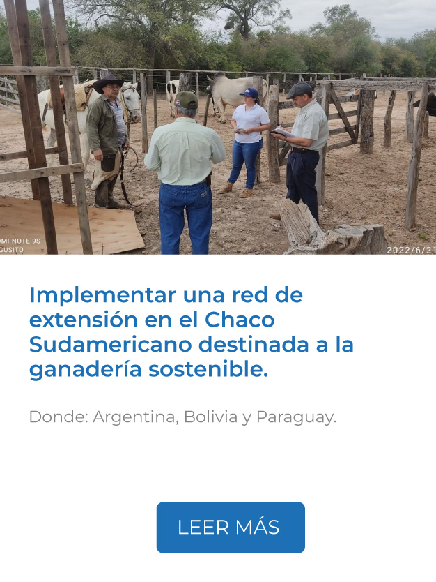 Este proyecto implementa una red de extensión en el Chaco Sudamericano destinada a la ganadería sostenible.