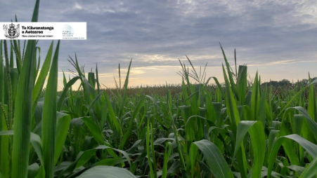 Aprovechamiento de bioproductos para fortalecer la resiliencia climática