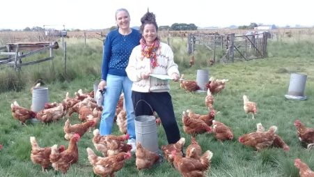 Agroecological model for avian coccidiosis<br />
