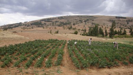 Nanotecnología en la gestión de humedad de suelos agrícolas