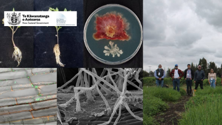 Ampliando el uso de bioinsumos en la agricultura de América Latina
