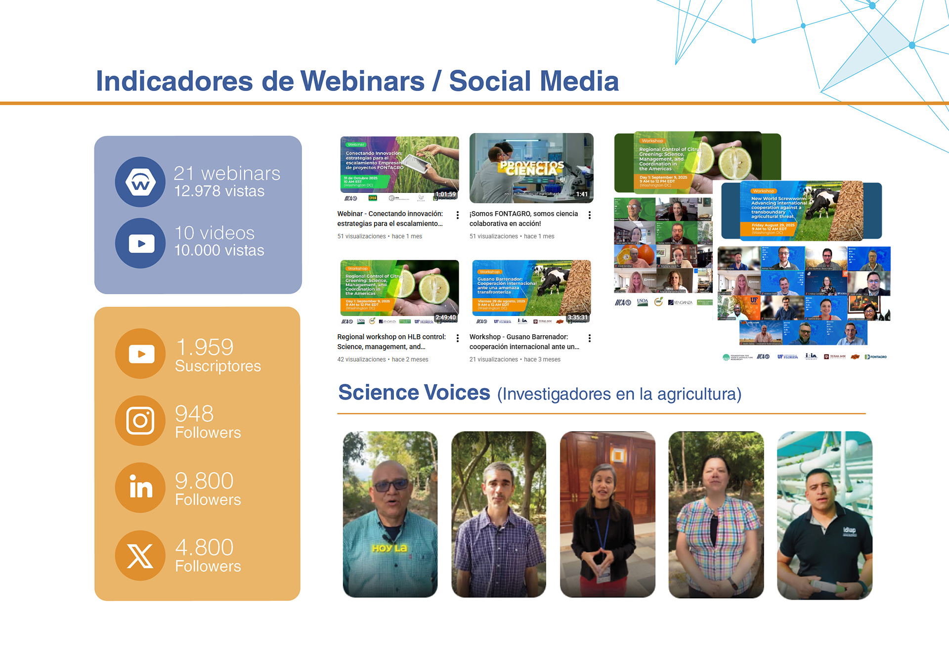 Tres estrategias fontagro